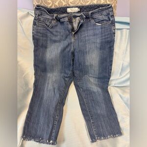 Torrid Raw Hem Ankle Length Jeans